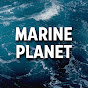 Marine Planet YouTube channel thumbnail