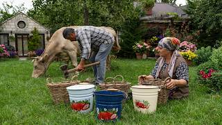 From Fresh Cow Milk to Homemade Cheese & Rustic Cheese Pie | Village Life Cooking 🧀🌿 thumbnail