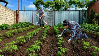 Spring Village Rush: Planting Seedlings & Giant Cauldron Meat Pilaf Feast thumbnail