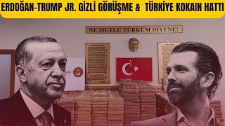 Erdoğan-Trump Jr Gizli Görüşme & Türkiye Kokain Hattı thumbnail