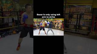 Wing Chun Xingyi Kungfu Guy vs Boxer Using One Hand thumbnail
