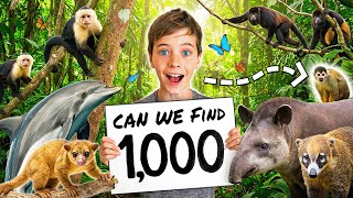 Mystery Animal Challenge 🕷️🐾🐍 Kids Find 1000 Animals in Costa Rica Jungle thumbnail
