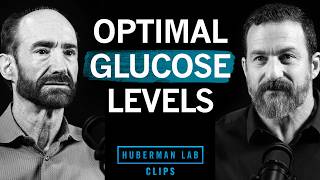 How to Maintain Optimal Blood Glucose Levels | Dr. Michael Snyder & Dr. Andrew Huberman thumbnail