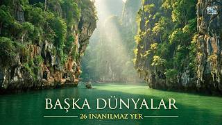 Your Brain Won't Believe These Are Real! : 4K Documentary thumbnail