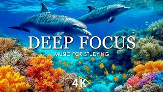 Focus Music for Work and Studying, Background Music for Concentration, Study Music #23 thumbnail