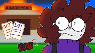 The Junior Year Struggle thumbnail