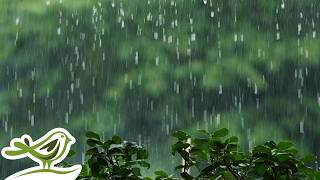 Peder B. Helland - Thursday (Rain Version) | Soft Piano Music for Sleep & Relaxation thumbnail