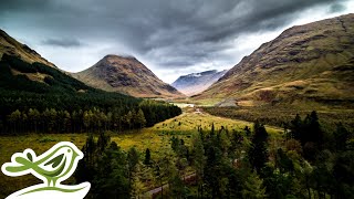 Peder B. Helland - Glen of Wonder (Extended Version) | 30 Minutes of Peaceful Scottish Highlands thumbnail