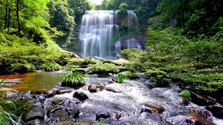 Waterfall flowing over rocks in forest 4k. Relaxing flowing water, White Noise for Sleep, Meditation thumbnail