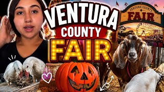 Summer Diaries: *Realistic* Fair Vlog With My Family thumbnail