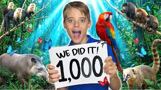 Kids Mystery 1000 Animals Challenge Completed! 🐾🐵🐬 Family Costa Rica Jungle Adventure thumbnail